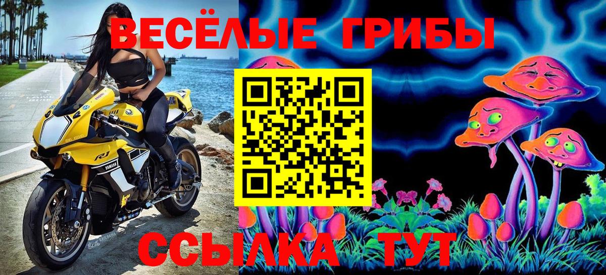 Костомукша  Галлюциногенные грибы GOLDEN TEACHER  хочу   Вход с VPN 