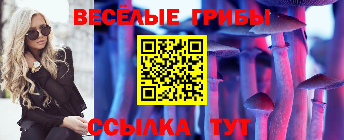 Псилоцибиновые грибы MAGIC MUSHROOMS Костомукша